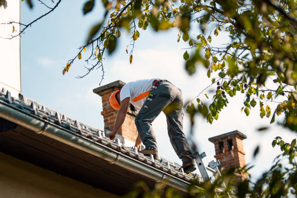 Best Gutter Installation and Roofing  in Lanse, MI