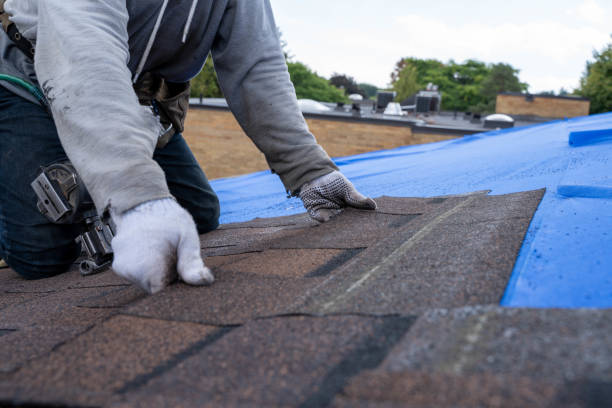 Best Flat Roof Repair Services  in Lanse, MI