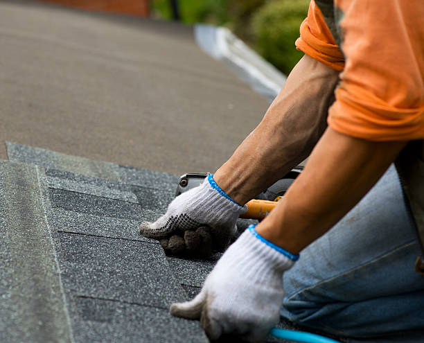 Best Best Roofing Contractors  in Lanse, MI