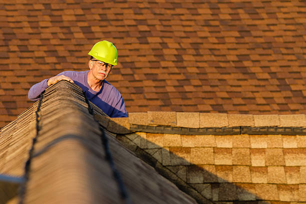 Best Flat Roof Repair Services  in Lanse, MI