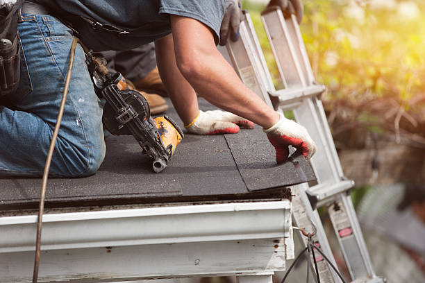 Best Storm Damage Roof Repair  in Lanse, MI