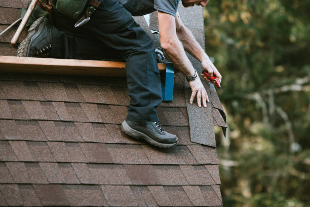 Best Residential Roofing Contractor  in Lanse, MI